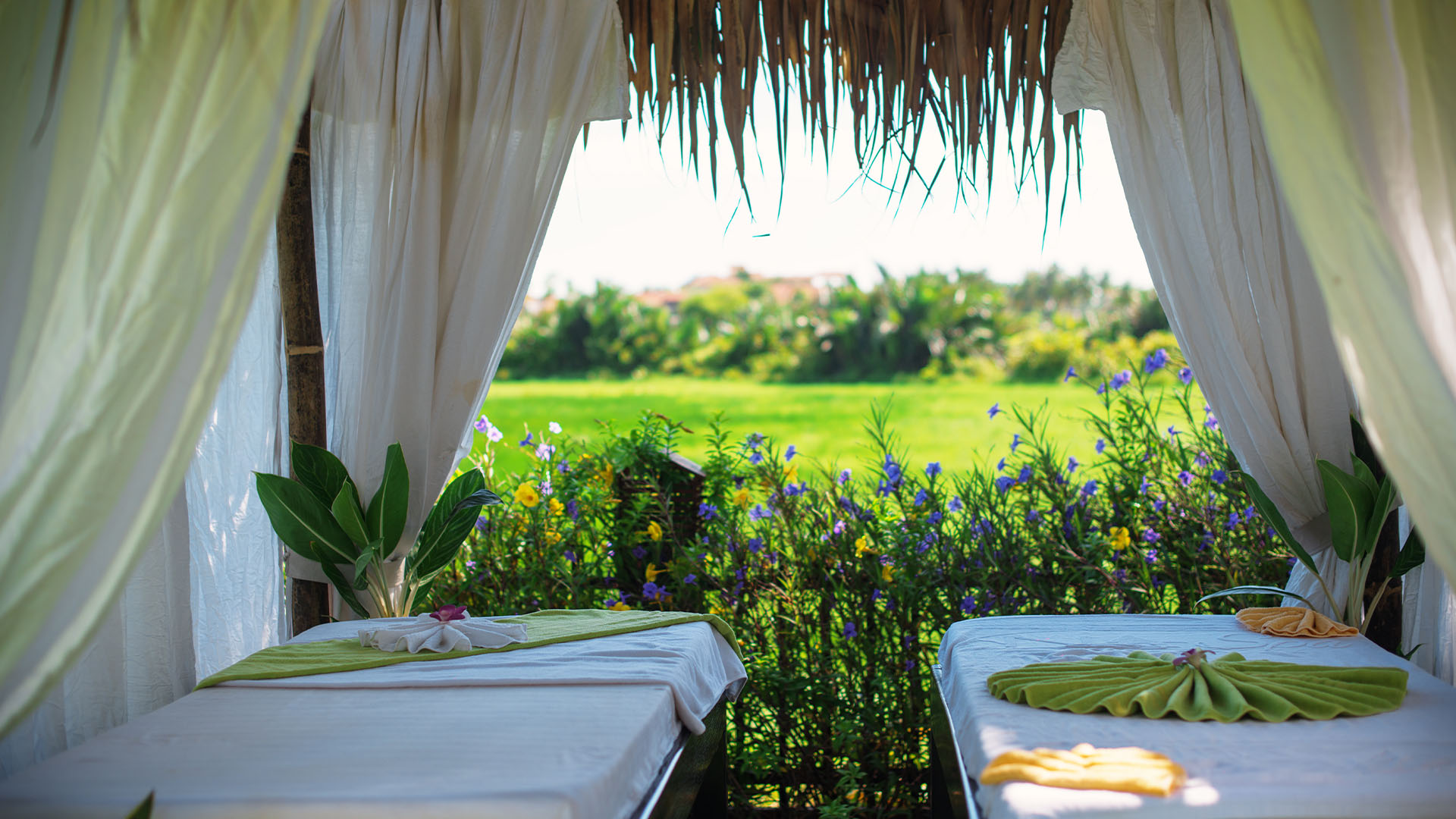 Nourish & Discover: A Culinary Retreat in Hoi An